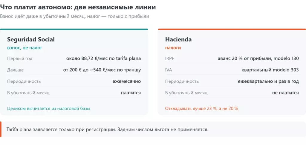Что платит автономо в Испании: взнос в Seguridad Social от 200 евро и налоги в Hacienda — IRPF и IVA