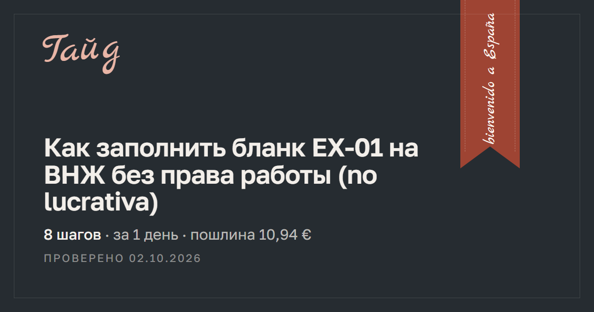 Как заполнить бланк EX-01 на ВНЖ без права работы (no lucrativa) — гайд Relotus