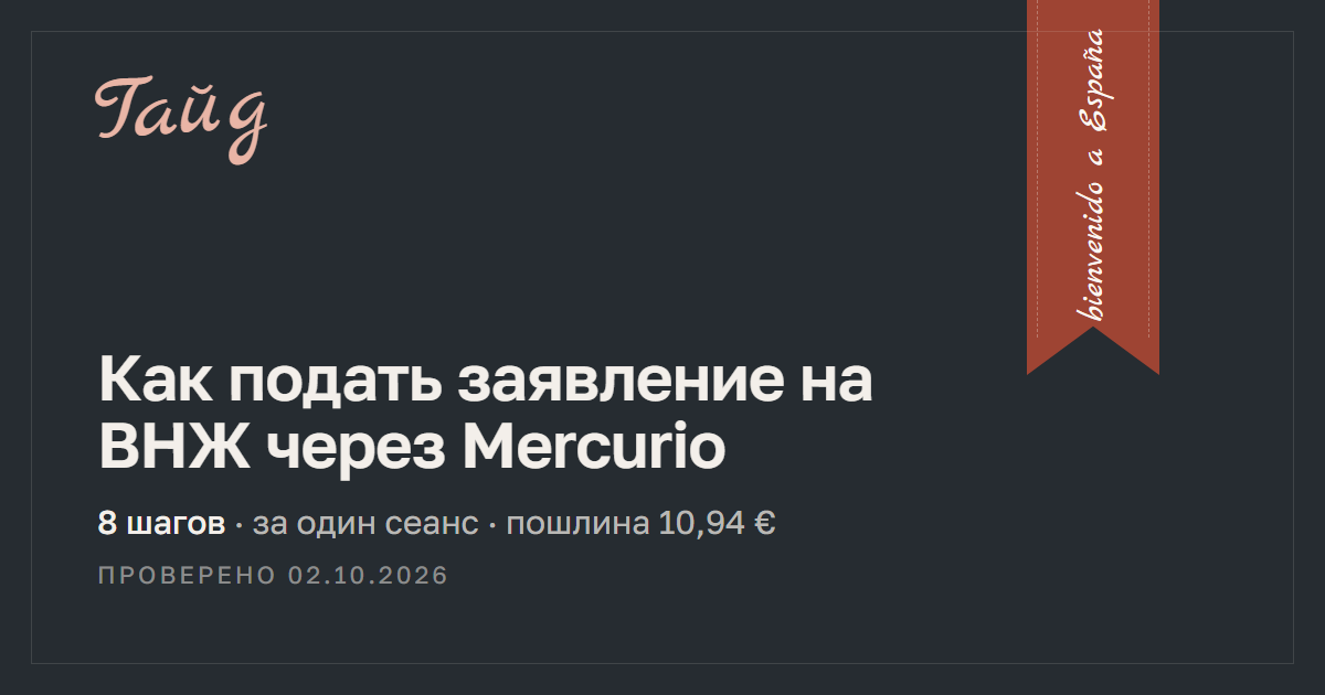 Как подать заявление на ВНЖ через Mercurio — гайд Relotus