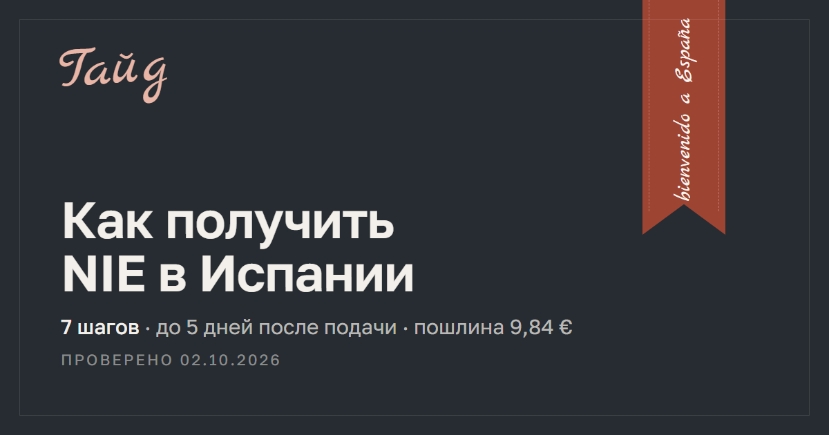 Как получить NIE в Испании — гайд Relotus