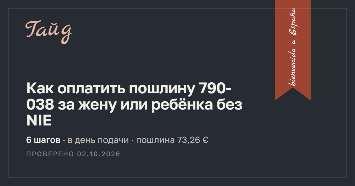 Как оплатить пошлину 790-038 за жену или ребёнка без NIE — гайд Relotus