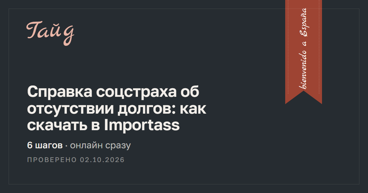 Справка соцстраха об отсутствии долгов: как скачать в Importass — гайд Relotus