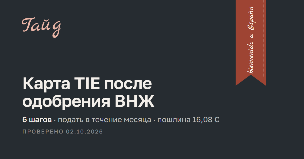 Как получить карту TIE после одобрения ВНЖ — гайд Relotus