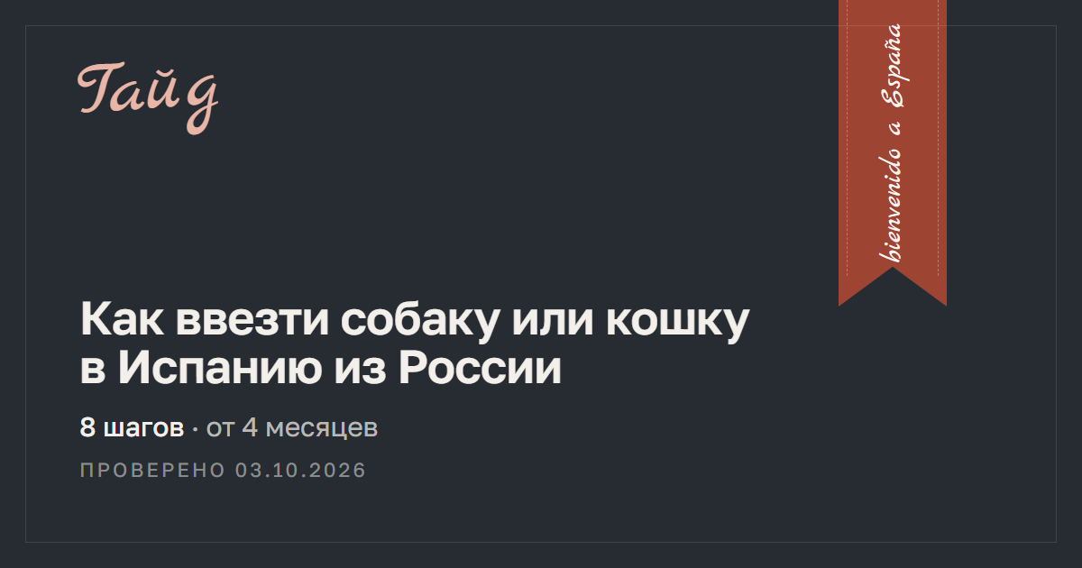 Как ввезти собаку или кошку в Испанию из России — гайд Relotus