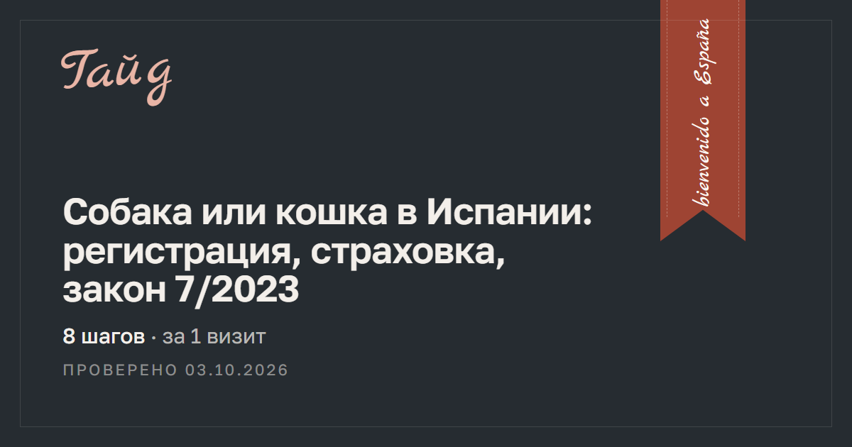 Собака или кошка в Испании: регистрация, страховка, закон 7/2023 — гайд Relotus
