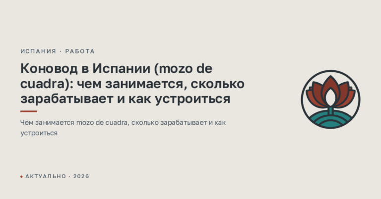 Коновод в Испании (mozo de cuadra): чем занимается, сколько зарабатывает и как устроиться