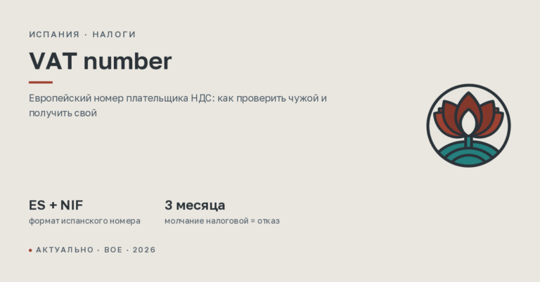 VAT number: что это такое, как проверить и как получить в Испании