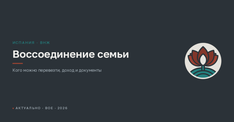Воссоединение семьи в Испании в 2026 году: виза и ВНЖ для супруга, детей и родителей
