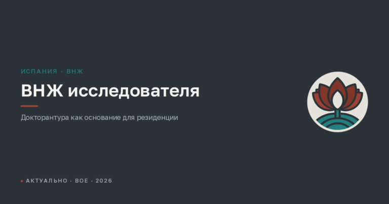 ВНЖ исследователя в Испании: докторантура вместо студенческой визы в 2026 году